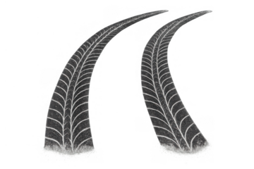 Tire tracks leaving rubber marks on asphalt, indicating burnout or speeding, transparent background