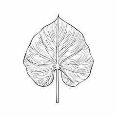 vector leaf silhouette