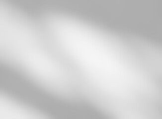 Shadow of leaves tree plant overlay on white wall. Sunlight effect shadow on the wall. Minimal blurred backdrop backgrounds. Summer tropical surface background.