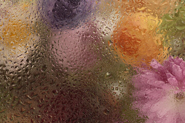 Fototapeta premium Smoke selected soft focus flower bouquet through glass with wet water drops. Abstract natural blur background.