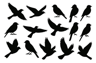 Silhouette of birds in various poses and flight patterns on white background
