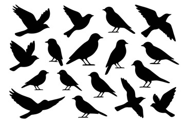 Obraz premium Silhouette collection of various bird species in flight and perched