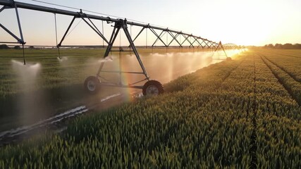 Irrigation systems move gracefully across vast fields, nourishing the vibrant green plants as the sun sets, casting a warm glow over the landscape. This magical evening highlights nature's beauty. - Powered by Adobe