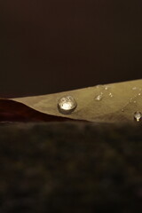 texture, yellow, pattern, material, paper, textured, wallpaper, wall, leather, fabric, backgrounds, surface, color, closeup, orange, backdrop, textile, rough, macro, design, blank, canvas, gold, paint
