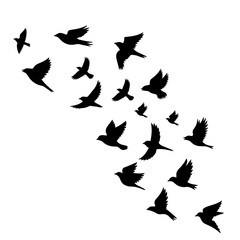 Elegant flock of birds in flight artwork perfect for conveying freedom and nature's beauty, ideal for inspirational designs and symbolizing migration or movement