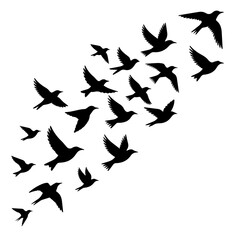 Dynamic flock of birds soars upward in elegant silhouette, ideal for freedom, nature, or design concepts with a sense of movement and ethereal beauty