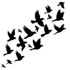 Elegant flock of birds soaring together creates a stunning silhouette, perfect for conveying freedom, nature, and collective movement in design projects and inspirational themes