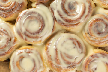 Deliciously Glazed Cinnamon Rolls Freshly Baked with Creamy Frosting