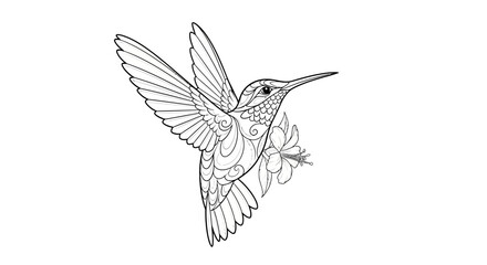 Hummingbird detailed artwork elegantly drawn alongside tropical blossom image