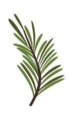 Pine tree branch Christmas element