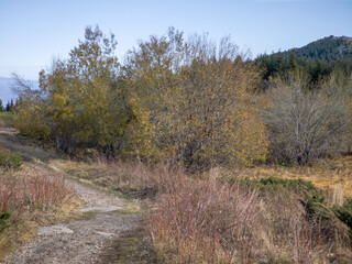 Konyarnika area at Vitosha Mountain, Bulgaria