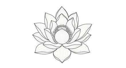 Elegant lotus flower illustration with detailed line work and intricate petal design displayed on