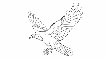 Detailed line drawing of a majestic raven soaring in the air with outstretched wings © Anisah