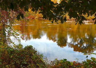 Fall foliage and golden water
