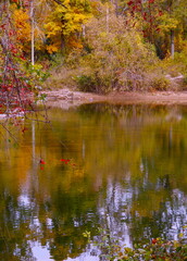 Warm color of trees in autumn at river