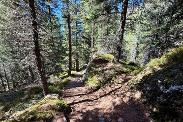 Hiking trail up to the famous Lagh Saoseo in Graubünden, Switzerland. A very popular hike in Graubünden.