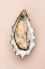 One oyster on beige background, macro shot of open fresh french Fine de Claire oyster. Gourmet...
