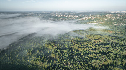 The aerial view captures a serene forest blanketed in morning mist under a clear blue sky. Vilnius, Lithuania