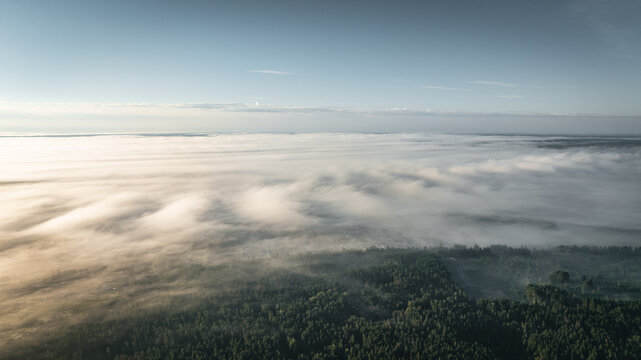 The aerial view captures a serene forest blanketed in morning mist under a clear blue sky. Vilnius, Lithuania