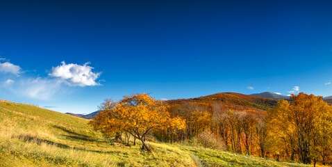 autumn in the mountains