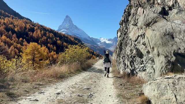 Zermatt, Switzerland - October 18, 2025: A woman hikes through beautiful yellow larch forests in the mountains above Zermatt, with the majestic Matterhorn always in view.