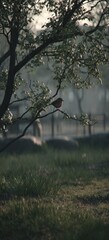 A small bird perches on a branch with blossoms, blurred background of grass and fence