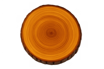 Wood slice cross-section revealing tree growth rings, natural circular timber texture, isolated transparent background