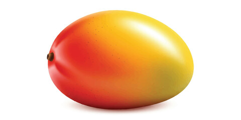 Realistic Mango with Smooth Gradient and Fresh Tropical Colors