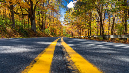 Double yellow stripe leads through forested mountains in peak fall color