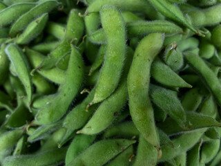 Edamame is an East Asian dish prepared with immature soybeans in their pods, which are boiled or steamed, and may be served with salt or other condiments