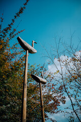 기와집, Hanok, 한국 전통 가옥, Korean traditional house, 한옥, Korean house,