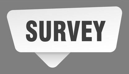 survey sign. survey white sticker isolated on gray background