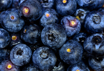 Blueberry Fruits Macro with Natural Texture