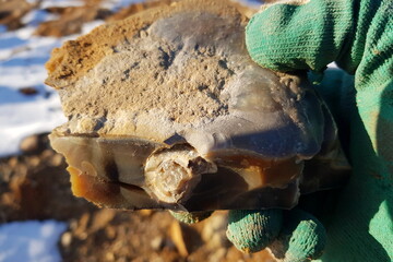 Close-up of a hand in a glove holding a striking flint stone, revealing a beautifully preserved gastropod fossil