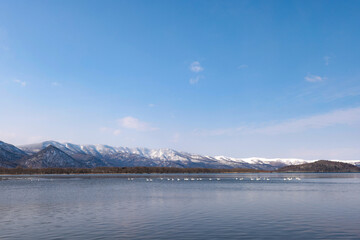 白鳥が羽を休める冬晴れの屈斜路湖と山並み