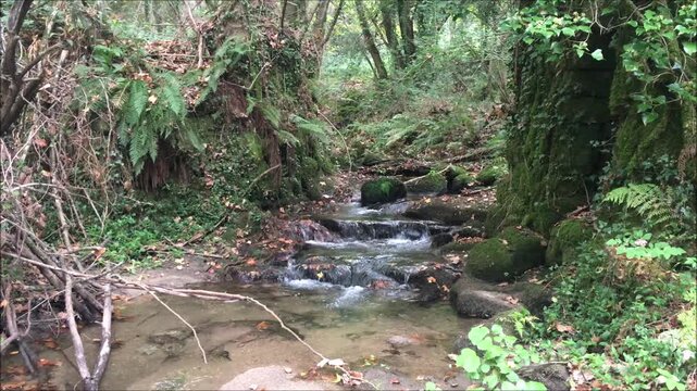 Asmes River in the town of Louredo da Serra in the city of Paredes in Portugal, water stream in autumn with the ruins of an old water mill