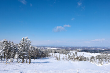 冬晴れの美幌峠