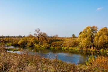 Serene autumn river meanders through golden banks under a clear blue sky, framed by vibrant foliage and dry grasses, conveying peaceful rural scenery