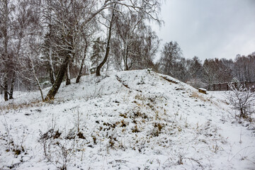 Early winter landscape with a snow-dusted hillside, bare birches reaching skyward, and sparse dry grass peeking through the fresh powder