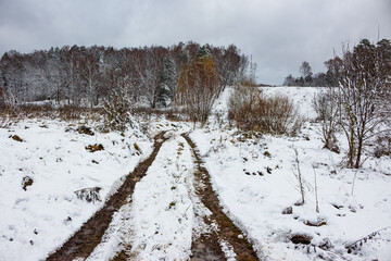 Muddy tire tracks cut through patchy snow in a winter field under an overcast sky. Leafless trees frame the quiet, chilly, raw landscape
