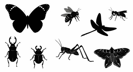 Fototapeta premium Silhouette illustration featuring a variety of insects including beetles and winged insects 100 char