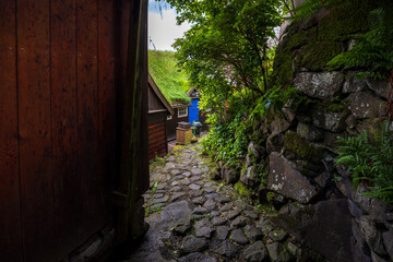 Narrow cobblestone path between old wooden houses and greenery