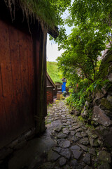Narrow cobblestone path between old wooden houses and greenery