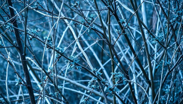 Intertwined branches in blue tones. Artistic photograph of intertwined branches with leaves in blue hues. Abstract natural texture resembling a fractal.
