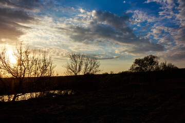 Naklejka premium Tranquil evening by the river. Bare tree silhouettes stand against a beautiful, cloudy twilight sky. A golden sun peeks through branches, reflecting in the calm waters