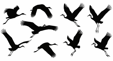 Obraz premium Silhouette illustration showing a flock of cranes in various stages of flight against a white background