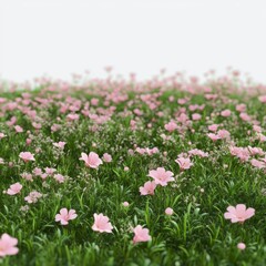 Obraz premium A Peaceful Field of Pink Flowers Surrounded by Lush Green Grass, Creating a Serene Natural Landscape Perfect for Relaxation and Reflection