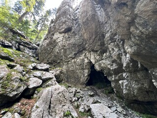 Strict nature reserve White rocks (Croatia) - Strenges Naturschutzgebiet Bijele Stijene (Kroatien) - Strogi rezervat prirode Bijele stijene, Ogulin (Gorski kotar, Hrvatska)