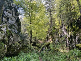 Strict nature reserve White rocks (Croatia) - Strenges Naturschutzgebiet Bijele Stijene (Kroatien) - Strogi rezervat prirode Bijele stijene, Ogulin (Gorski kotar, Hrvatska)