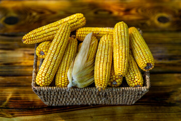 Fresh corn in basket on wooden table. Ripe maize harvest. Sweetcorn close-up on board. Raw corn and agriculture concept. Golden maize kernels. Organic corn cobs. Farming corn. Maize harvest.
